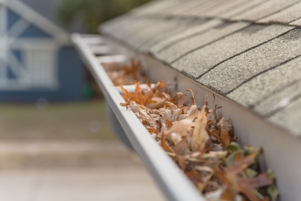 Leaf Barrier Installation in Arroyo Grande
